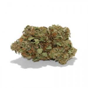 Buy Afghan Kush Indica Strains online