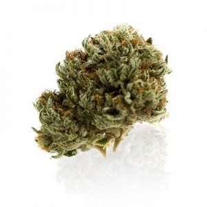 buy Afghani Cannabis Indica Strain online