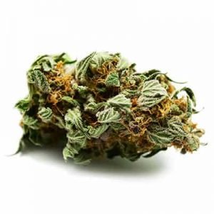 buy Alpha OG Cannabis Strain online