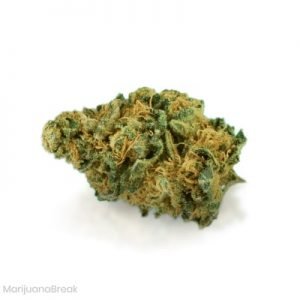 Buy Avidekel Cannabis Strain online