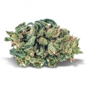 Order Blue Cheese Indica strain online