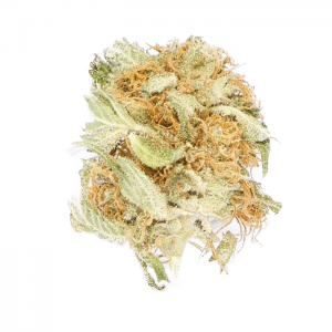 buy Blueberry Strain online