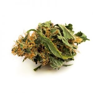 Buy Chemdawg Strain online