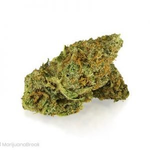Buy Critical Kush Marijuana Strain online