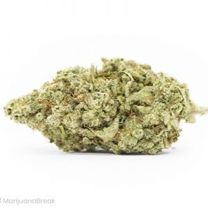 Buy Dominion Skunk online