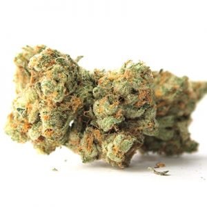 Buy Early Girl Marijuana Strain online