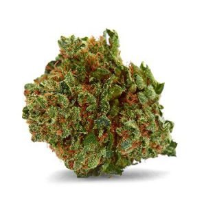 buy Ed Rosenthal Super Bud online