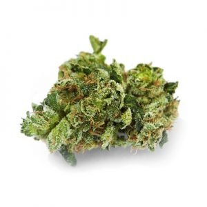Order best G13 Marijuana Strain online