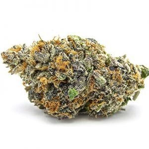 Buy Gelato Cannabis Strain online