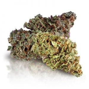 Buy Granddaddy Purple Marijuana Strain online