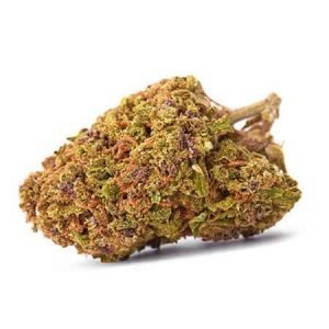 Harmonia Strain for sale online