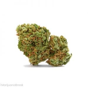 Buy Key Lime Pie Marijuana Strain online