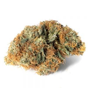 buy King’s Kush grade A online