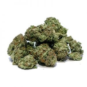 buy Kosher Kush Marijuana Strain online