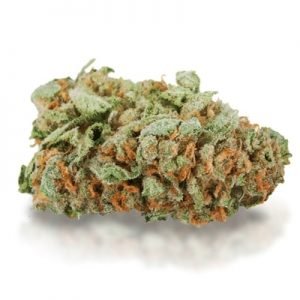 Buy Master Kush Strain online