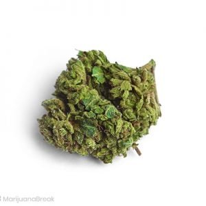 Order Obama Kush weed strain online