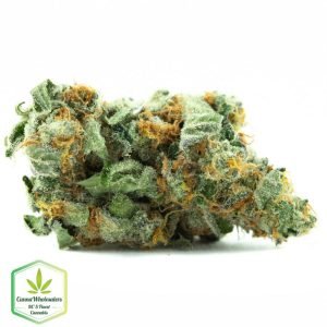 Buy Peyote Cookies weed indica strains