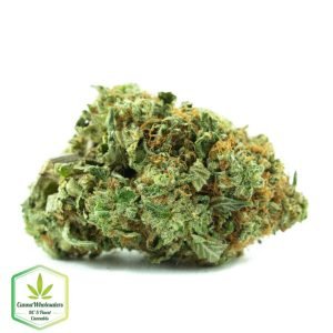 Buy PRESIDENTIAL OG online