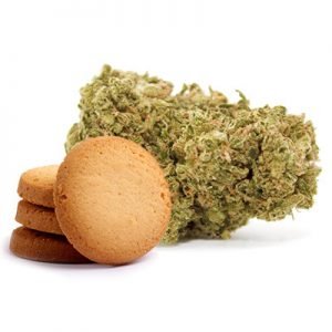 buy Platinum Cookies Cannabis-Stress relief online