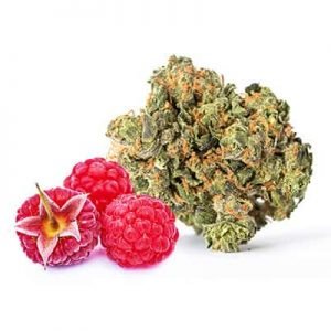 Buy RASPBERRY KUSH STRAIN online