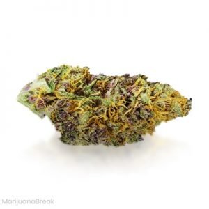 buy Rainbow Kush Marijuana Strain online