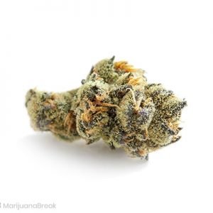 buy Sin City Kush Strain onlline