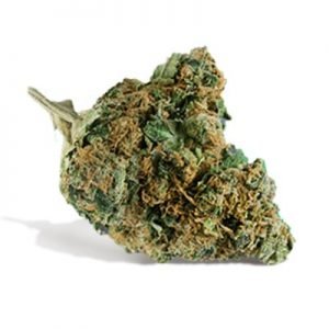 buy Skunk #1 Marijuana Strain online