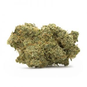 buy Voodoo Marijuana Strain online