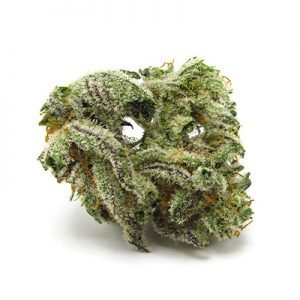 buy White Ryder Strain online