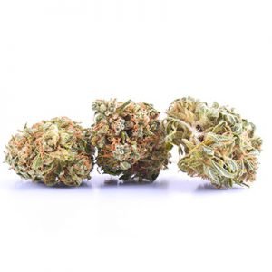 buy Blueberry Kush Marijuana Strain online