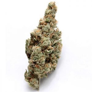 buy Bruce-Banner-Cannabis-Strain online