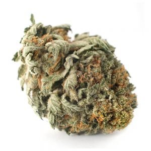 buy California Orange (AAAA) online