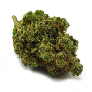 buy Chiquita-Banana-Strain online