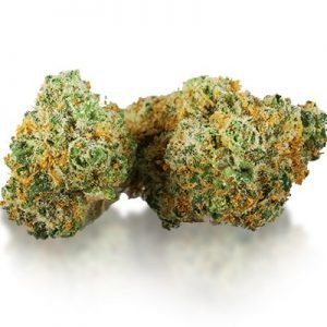buy Chocolope Strain online
