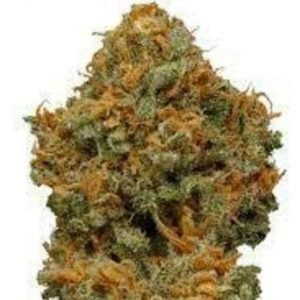 buy Dream Queen by Good Tree online