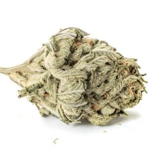buy Flowerbomb Kush (AAAA) online