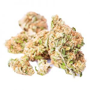 buy Golden Goat Marijuana Strain online