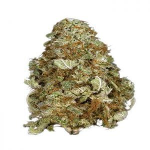 Buy Grape Kush Strain online