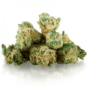 buy Jack Herer Weed Strain online