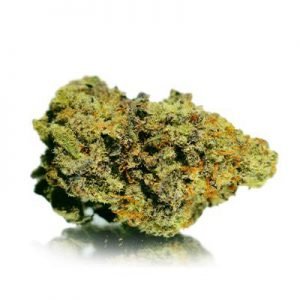 buy Kali Dog Strain online