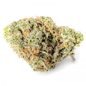 buy King Louie XIII (AAA) online