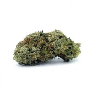 buy LSD Strain online