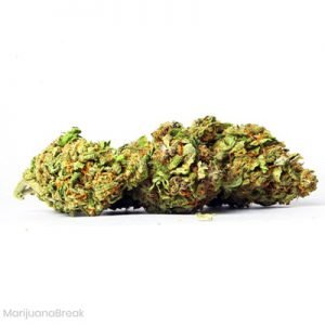 buy Laughing Buddha Cannabis online