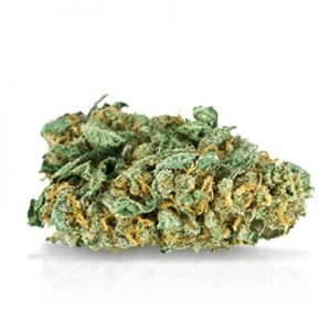 buy Lemon Kush Marijuana Strain online