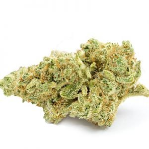 buy Mint Chocolate Chip Marijuana Strain online