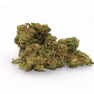 buy OG Kush Strain online