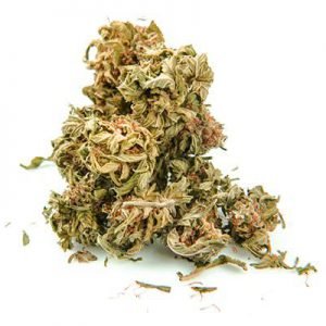 buy Orange Creamsicle Strain online