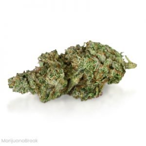buy Permafrost Cannabis Strain online