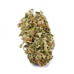 buy Pineapple Express Cannabis Strain online