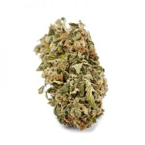 buy Pineapple Express Cannabis Strain online